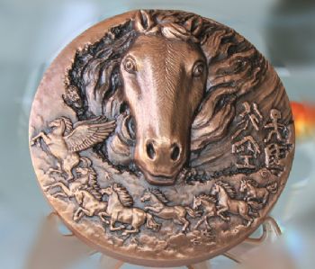 《天马行空 浦江情》大铜章