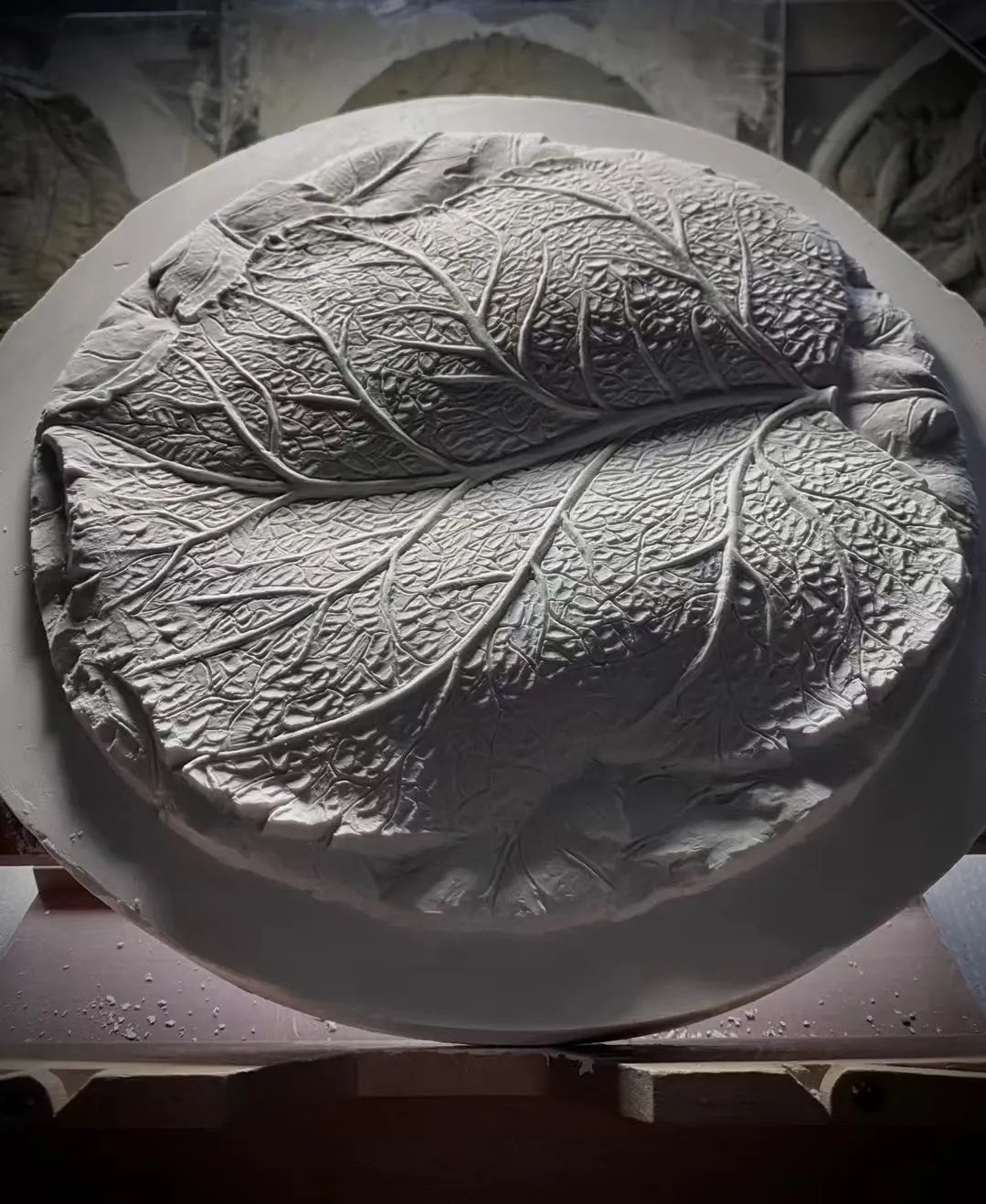 新品现货订购:对视---上币2024年朱熙华新作