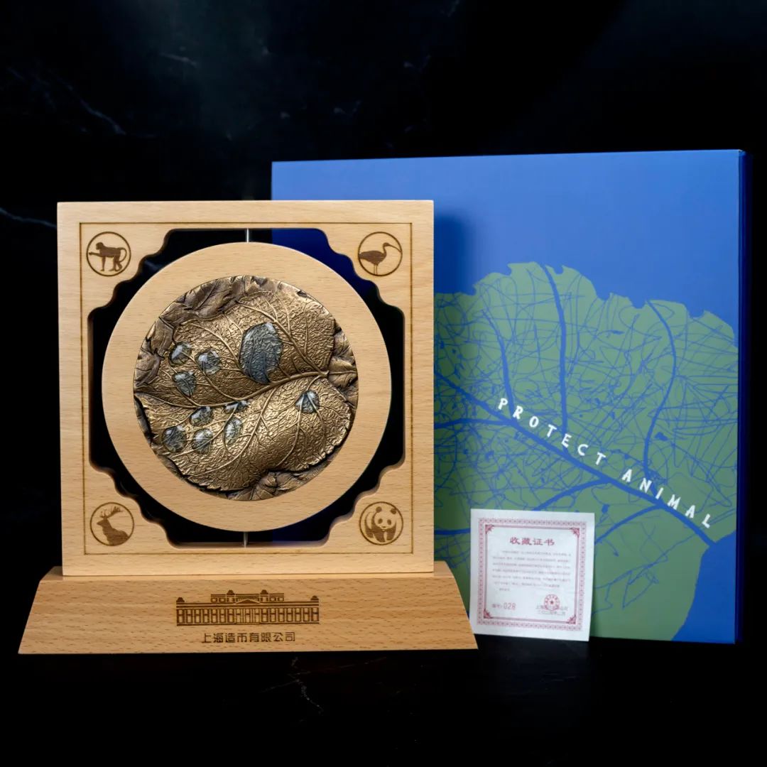 新品现货订购:对视---上币2024年朱熙华新作