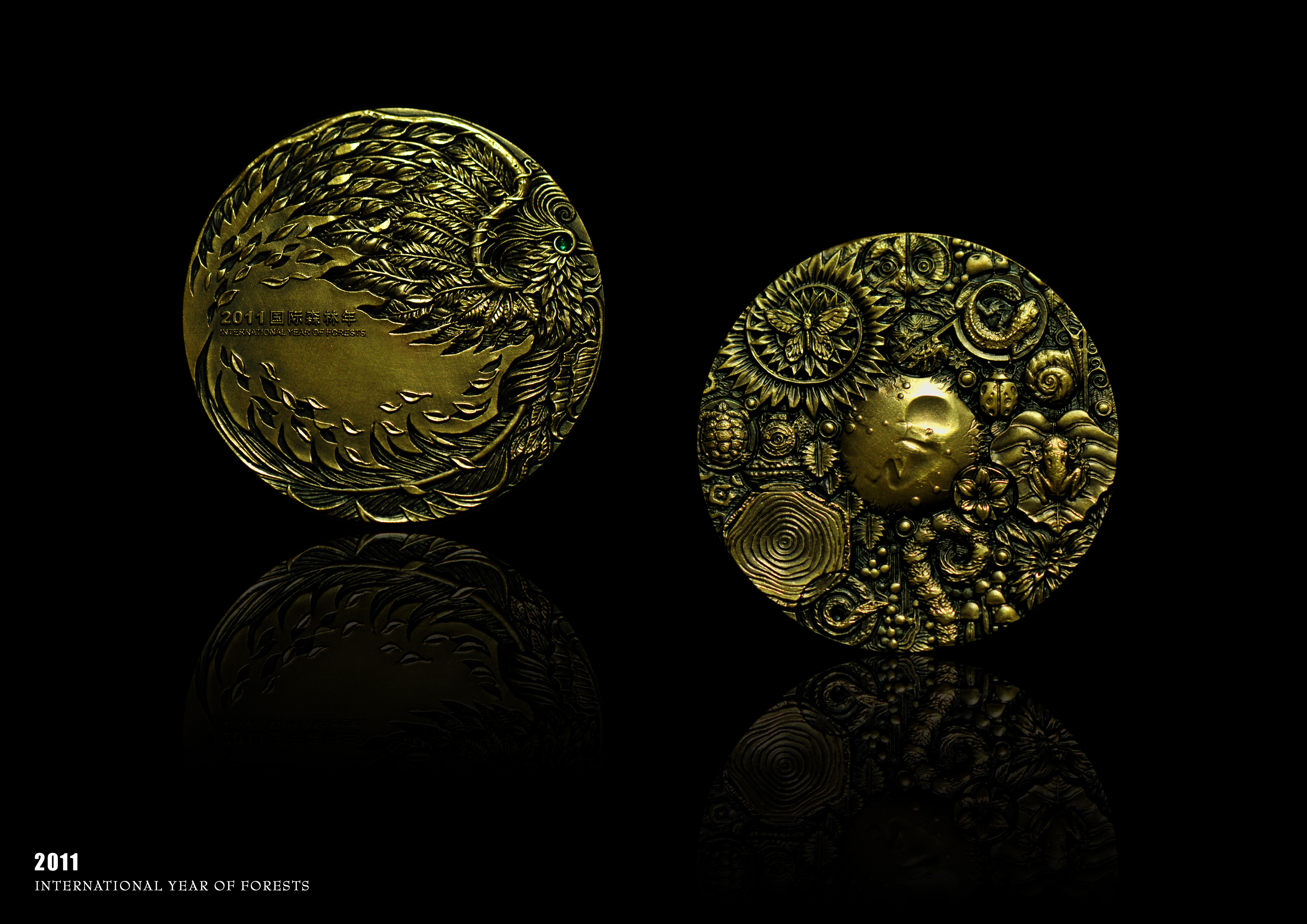 从《国际森林年》到《对视》