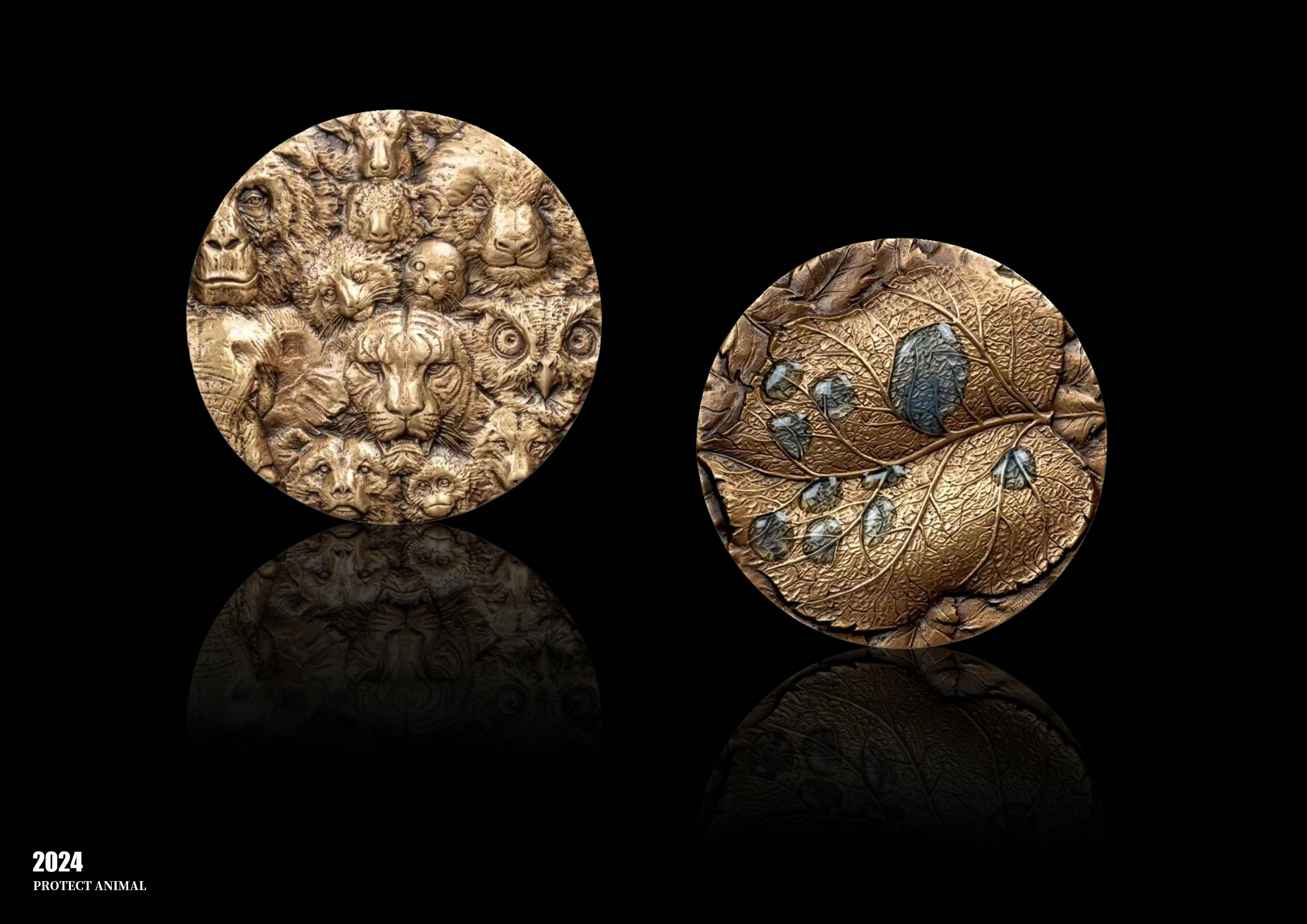 从《国际森林年》到《对视》